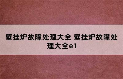 壁挂炉故障处理大全 壁挂炉故障处理大全e1